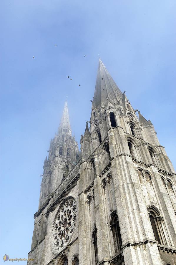 Nom de l'image : D1107480-nef-01_(c)Norbert-JUNG — Description :